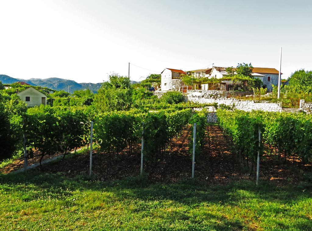 Hostal Estate&Winery San Duyevo Rijeka Crnojevića Exterior foto