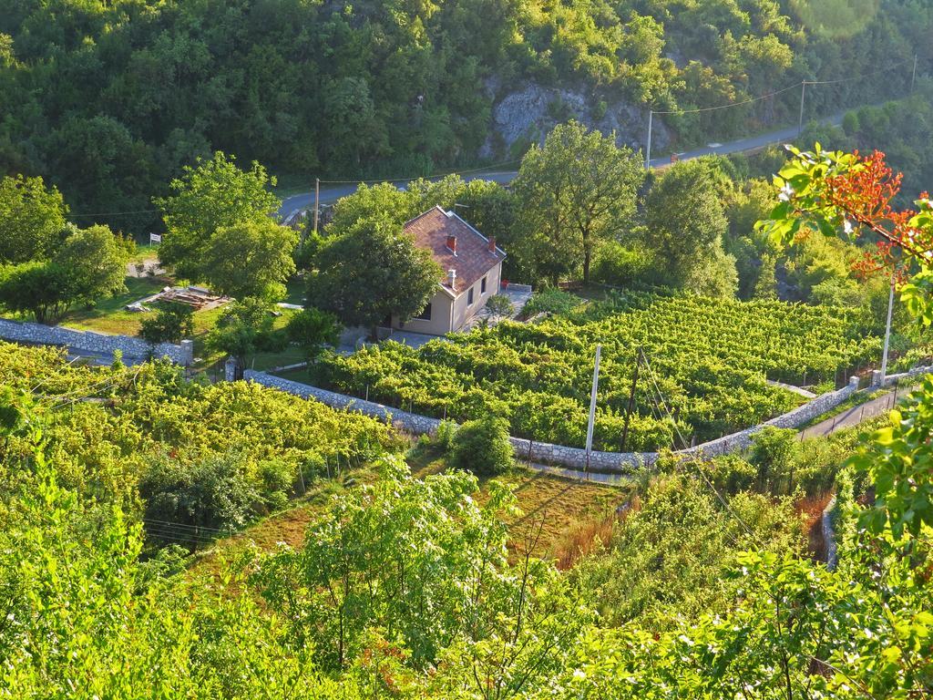 Hostal Estate&Winery San Duyevo Rijeka Crnojevića Exterior foto