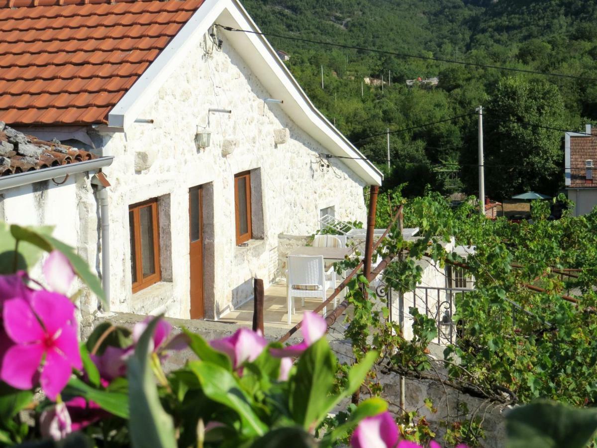 Hostal Estate&Winery San Duyevo Rijeka Crnojevića Exterior foto